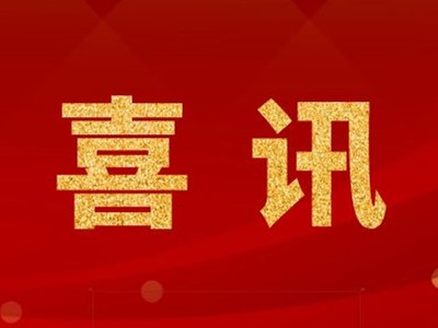 中標喜訊！浙江某新建鋰離子電池電解液項目中標！